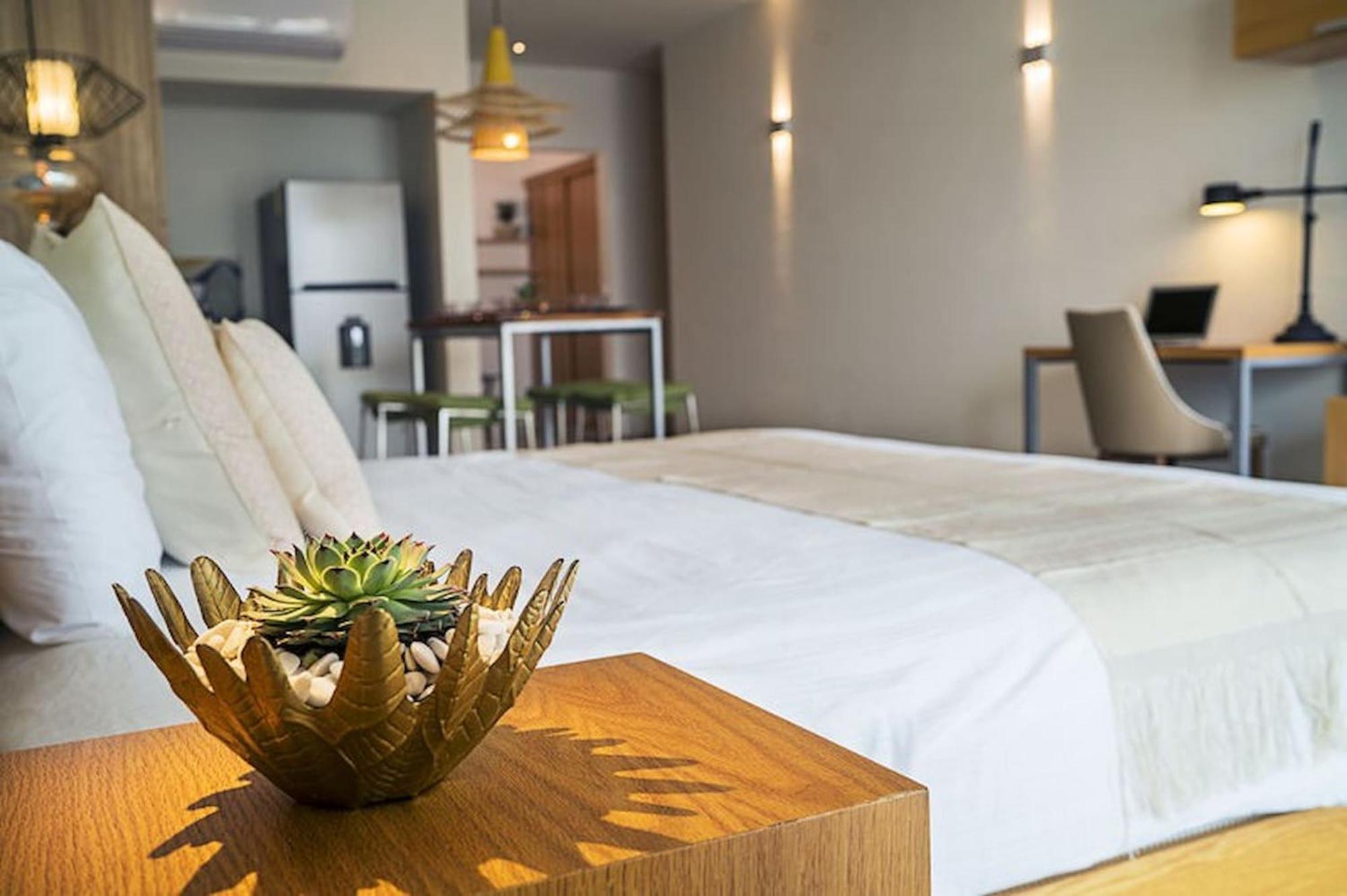 Opal Suites Apartments 普拉亚卡门 外观 照片